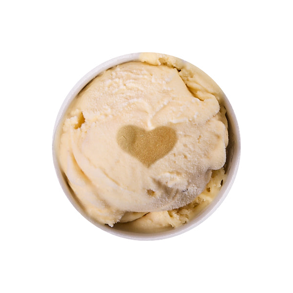 Barker Snouts Pumpkin Ice Cream for Dogs