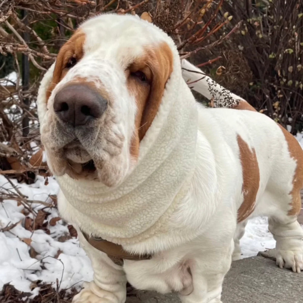 FREND Bone Neck Warmer Snood for Dogs