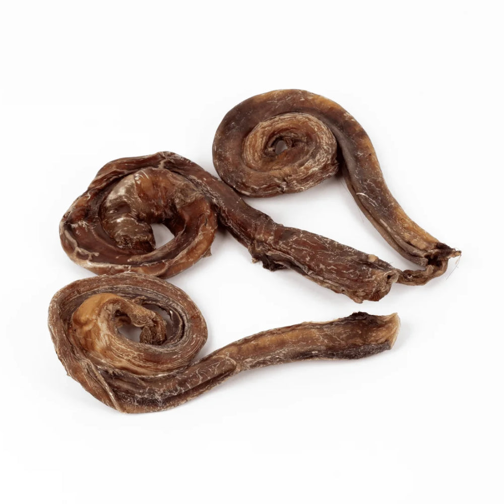 Grand Valley Quail Pizzle Pops for Dogs