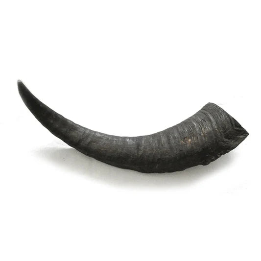 Nature's Own Goat Horn for Dogs