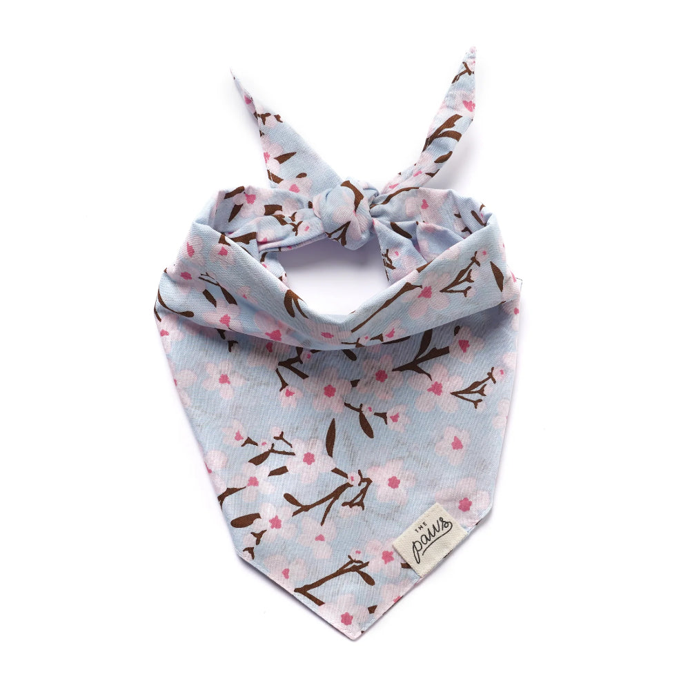 The Paws Cherry Blossom Bandana for Dogs