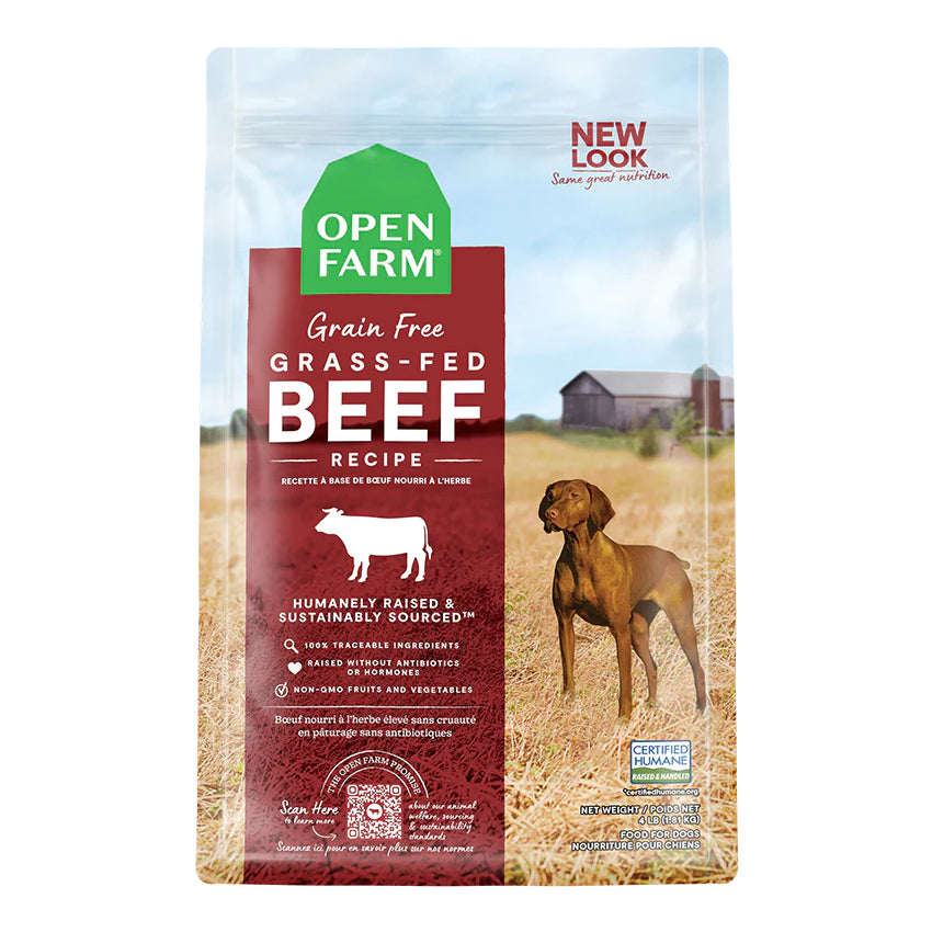 Gmo free dog food best sale