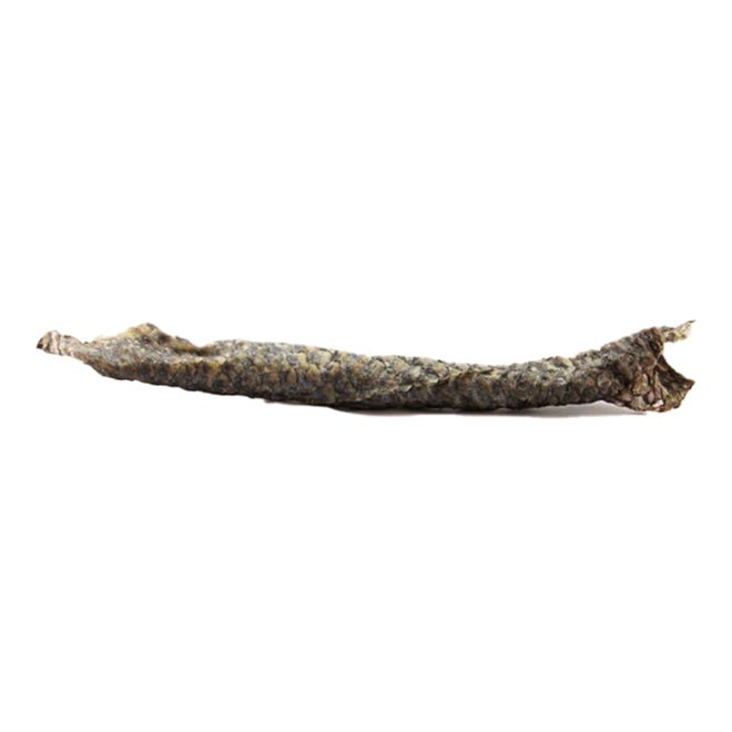 Open Range Tilapia Skin Roll for Dogs