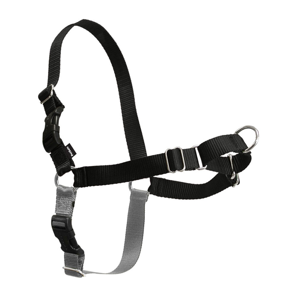 PetSafe Black Easy Walk Harness for Dogs