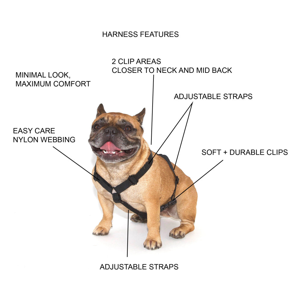 FREND Black Harness for Dogs