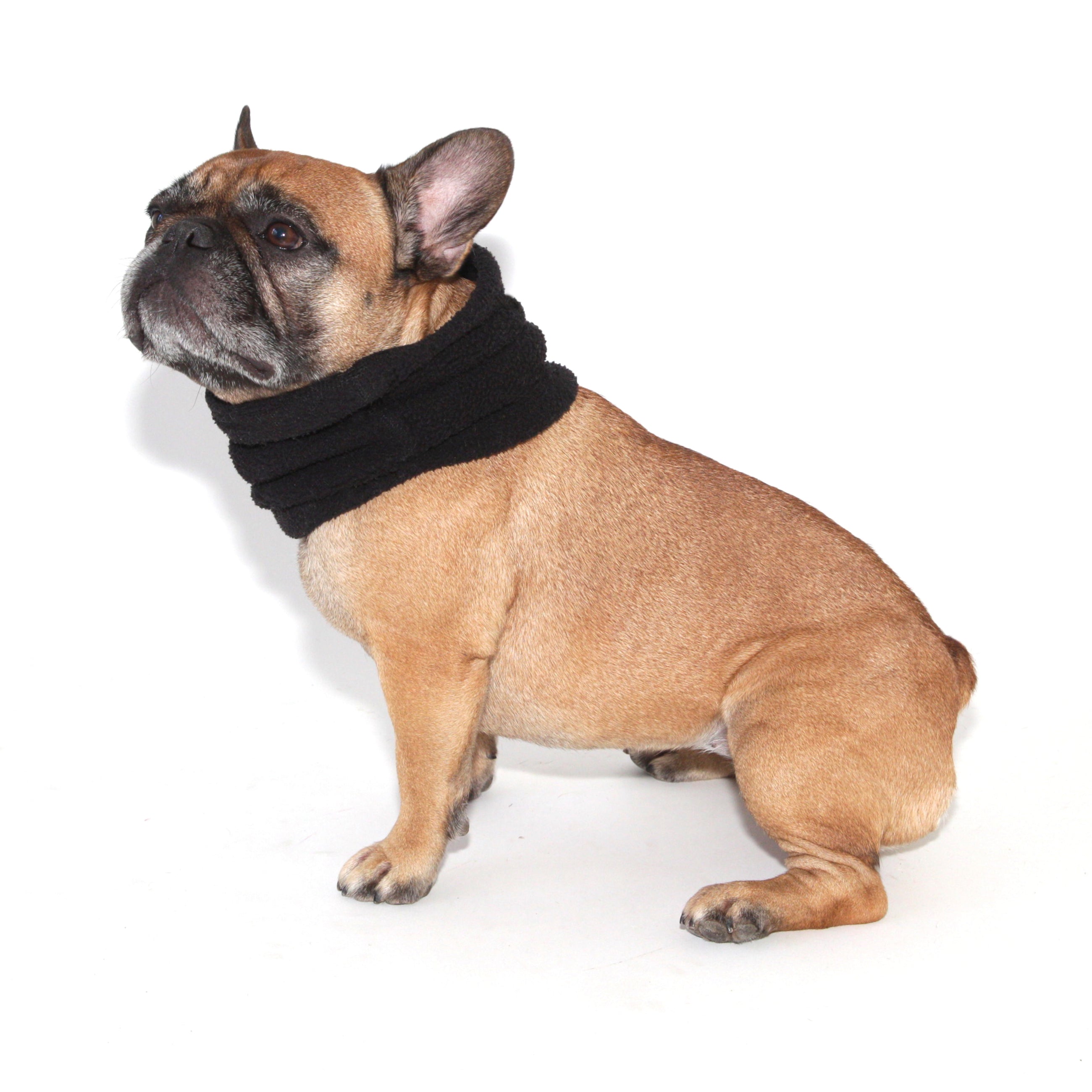 FREND Black Neck Warmer Snood for Dogs