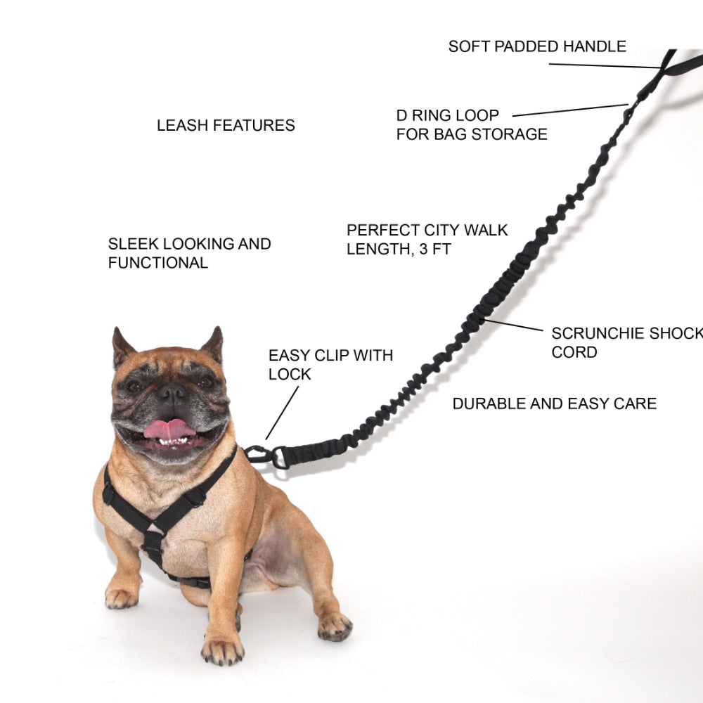 FREND Black Scrunchie Leash for Dogs