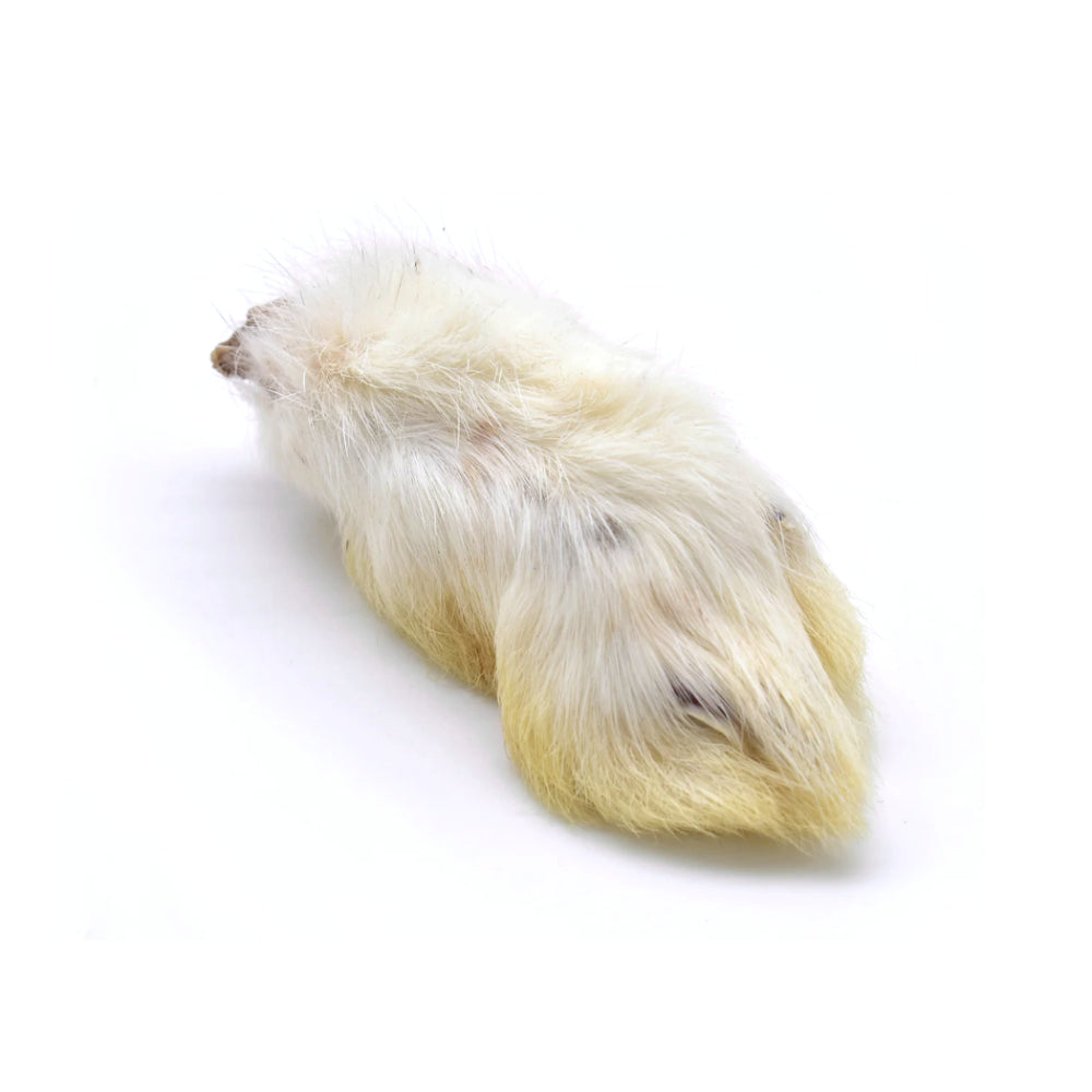 Grand Valley Quail Rabbit Feet Dehydrated for Dogs