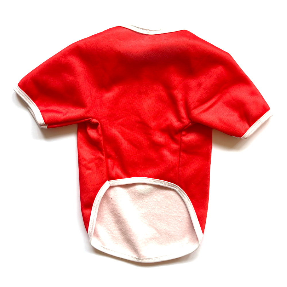 Timmie's England Jersey for Dogs