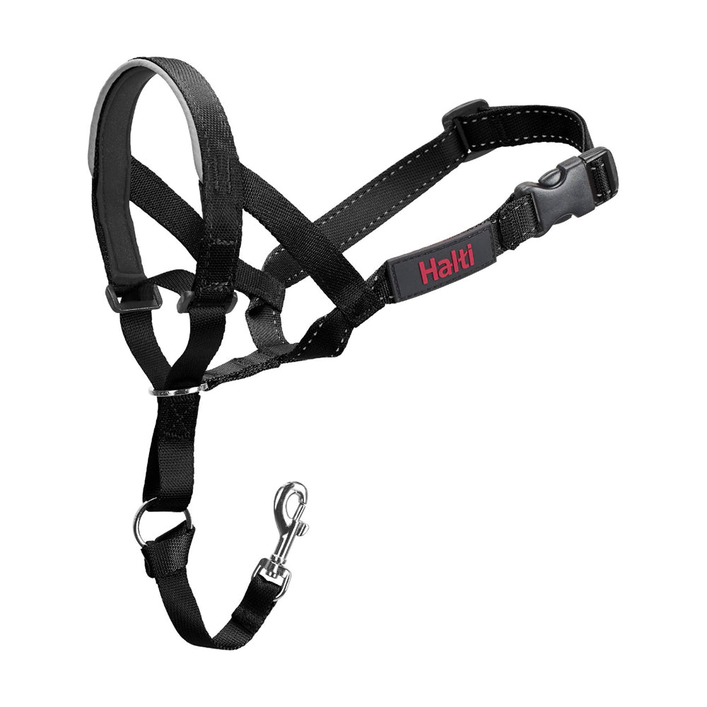 Company of Animals Halti Headcollar for Dogs