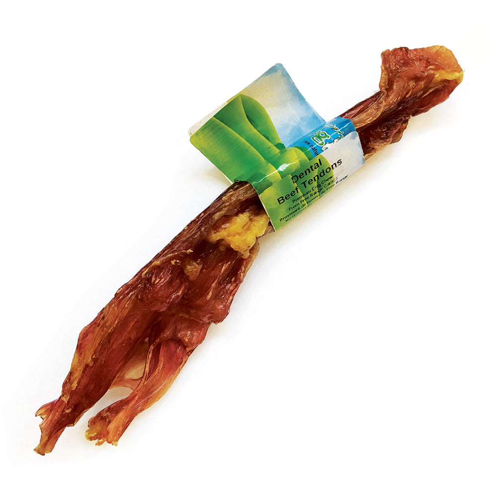 Nature's Own Thick Dental Beef Tendons for Dogs