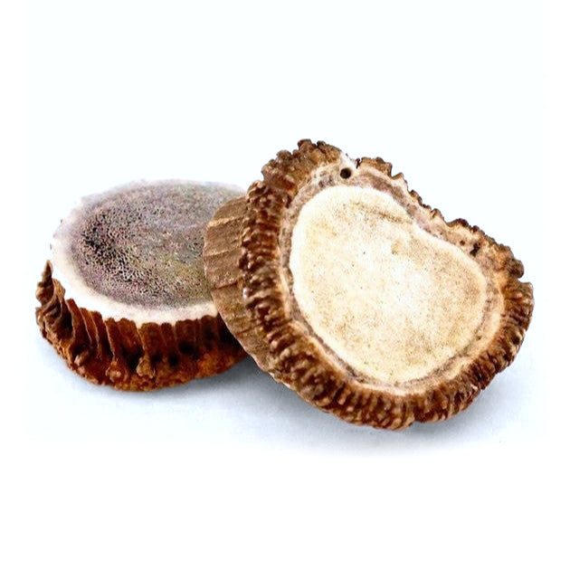 Prairie Antlers Elk Antler Burr for Dogs